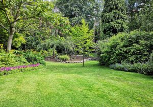 Optimiser l'expérience du jardin à Champdivers